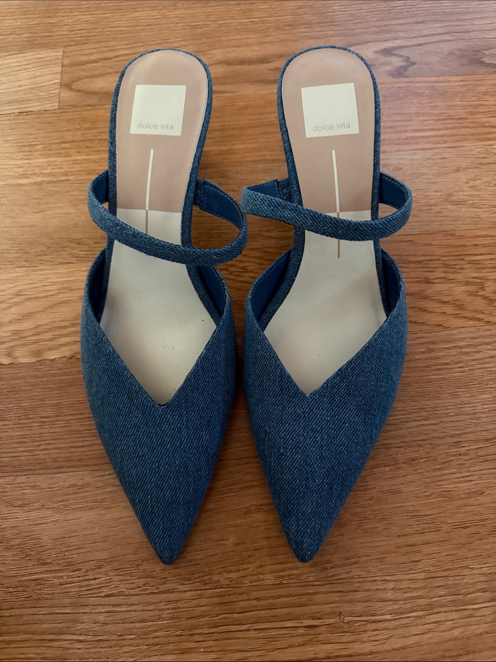 Dolce Vita Denim Pointed Mule with Ankle Strap